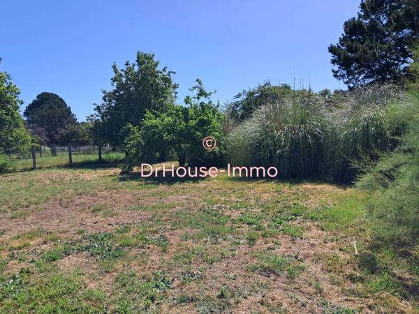 Terrain à vendre de 800 m²