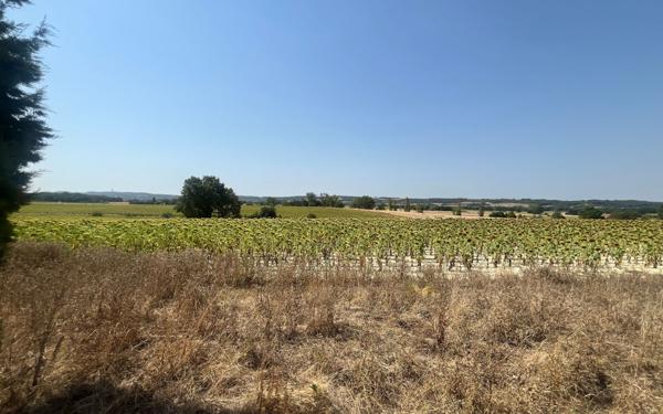 Maison à vendre    7 pièces • 220 m2 Labastide-d'Anjou