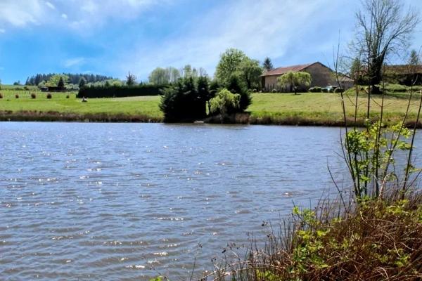 Propriété de charme avec lac, prairie, piscine et dépendances