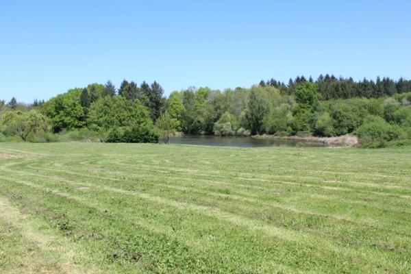 Propriété de charme avec lac, prairie, piscine et dépendances