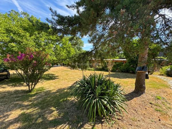 Vente                                                      Maison
                        
                     7 pièces                      170 m2                     à Thorigny-sur-Marne