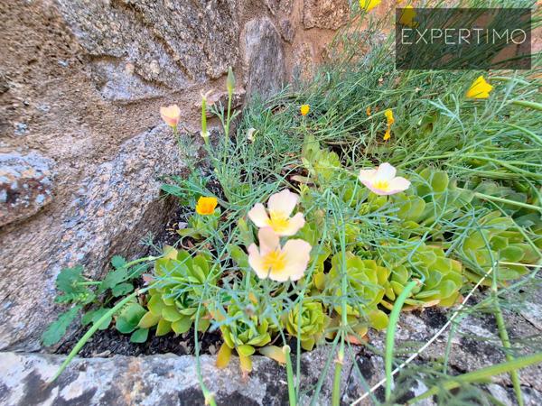 Cassagnes-Bégonhès (12120) Maison de caractères alliant charmes et traditions