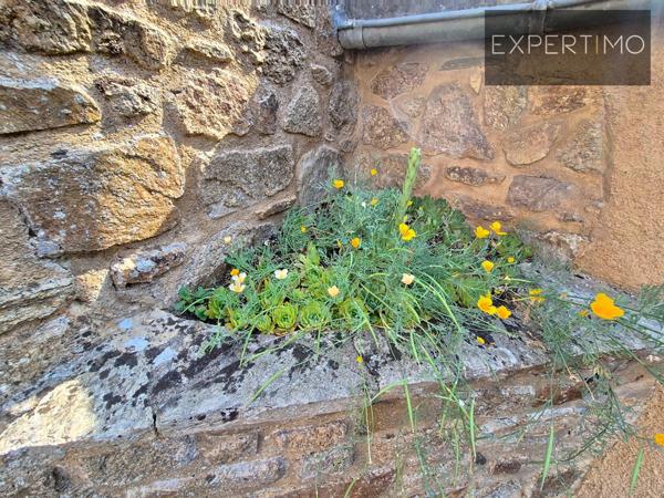 Cassagnes-Bégonhès (12120) Maison de caractères alliant charmes et traditions