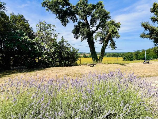 Maison de plain-pied 4 chambres avec jardin et piscine dans un cadre tranquille