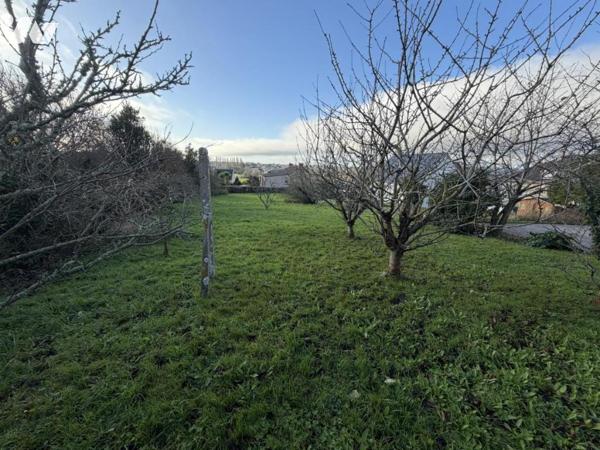 Maison en centre bourg avec vue dégagée et grand jardin 