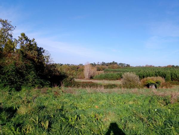 Entre Bordeaux et Cognac-Angoulème - Grande propriété viticole