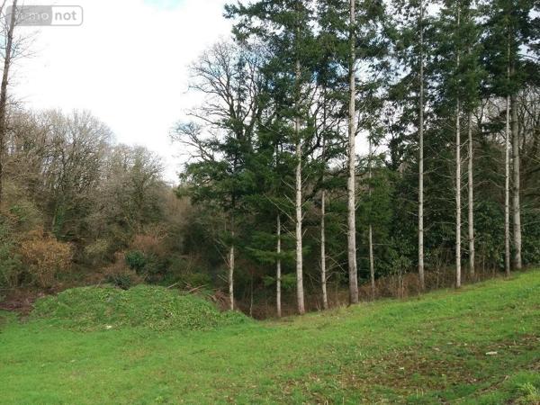 Maison à vendre à Spézet dans le Finistère (29540), ref : 29066-1026524