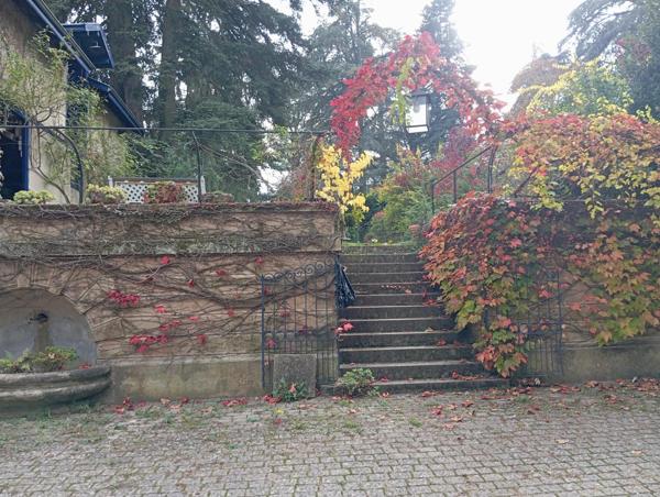 Belle Maison de Maître   : espace et jardin de rêve !