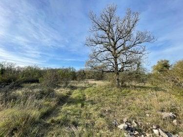 Terrain non constructible à vendre à Assier dans le Lot (46320), ref : 25.029