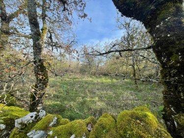 Terrain non constructible à vendre à Assier dans le Lot (46320), ref : 25.029