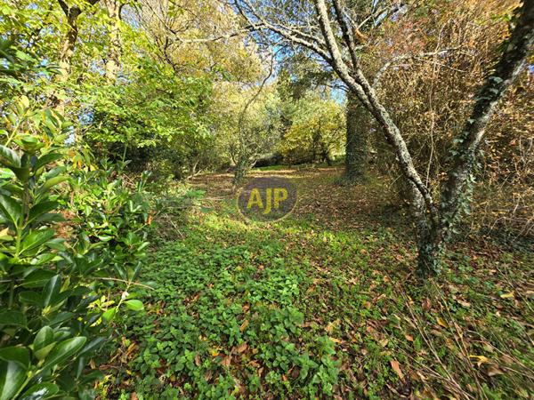 Vente maison Guemene Penfao : 143 400 € - AJP By Marie