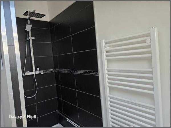 A Saint Clément des levées 49350, face à la Loire ancienne "Maison de marinier", plus un joli studio.