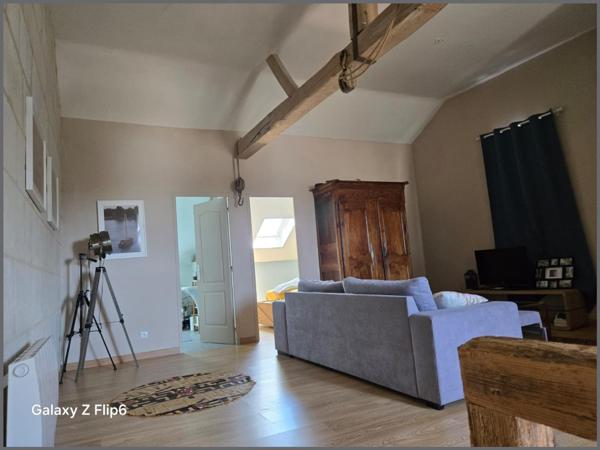 A Saint Clément des levées 49350, face à la Loire ancienne "Maison de marinier", plus un joli studio.