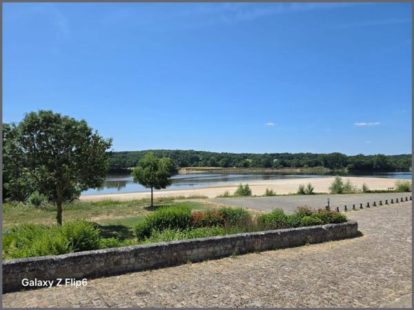 A Saint Clément des levées 49350, face à la Loire ancienne "Maison de marinier", plus un joli studio.
