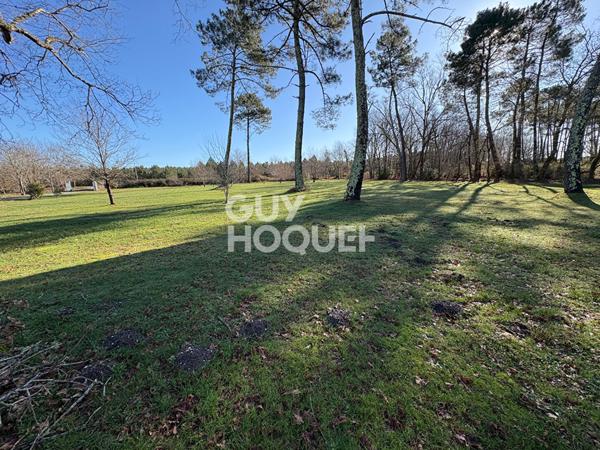 Belle maison landaise avec dépendance et pisicne