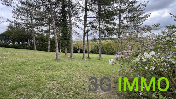 Vente / Maison et grand terrain