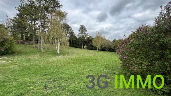 Vente / Maison et grand terrain