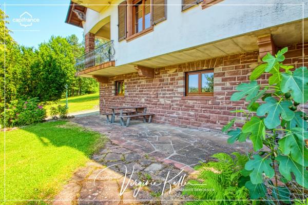 LE CALME ABSOLU - À louer appartement T2 53,24 m² - Meublé - Terrasse - Garage - WANGENBOURG ENGENTHAL (67)