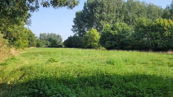 Maison 5 chambres à vendre à Mauzé Sur Le Mignon 79210