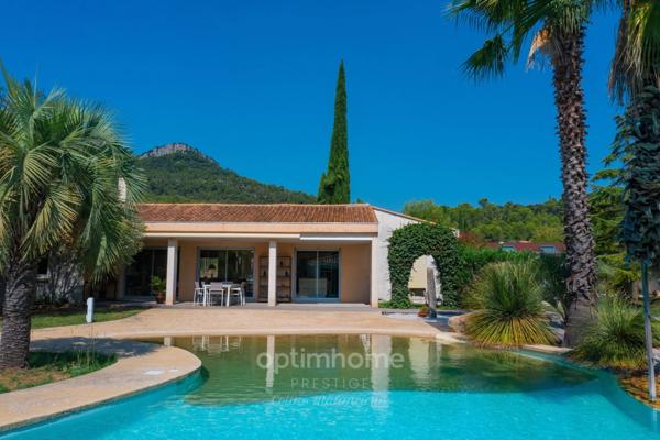 ✨Villa d’Exception au Cœur du Pic Saint-Loup✨