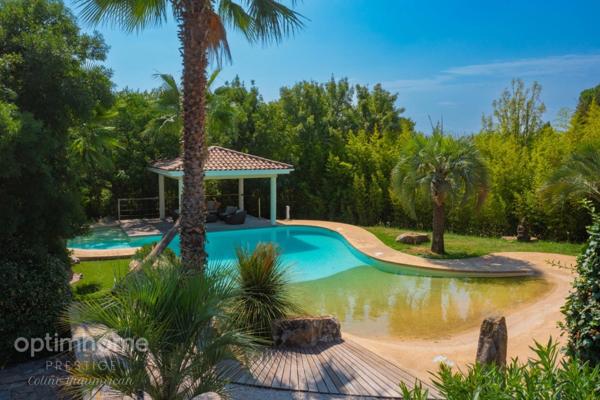 ✨Villa d’Exception au Cœur du Pic Saint-Loup✨