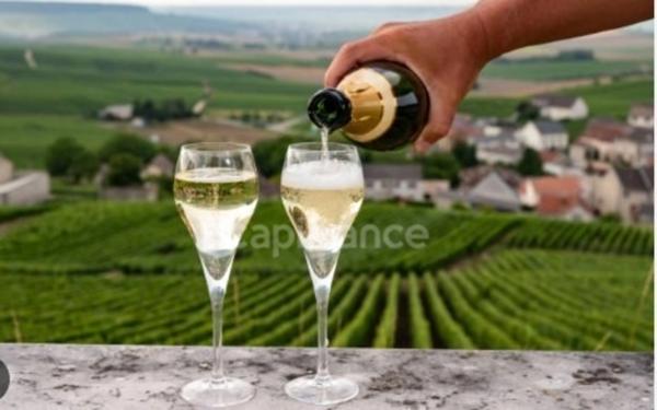 VENTE HOTEL BAR RESTAURANT 4 ETOILES REGION CHAMPAGNE ARDENNES