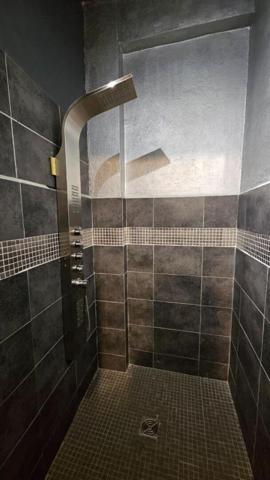 Appartement ou local professionnel AGEN 153.99 m2