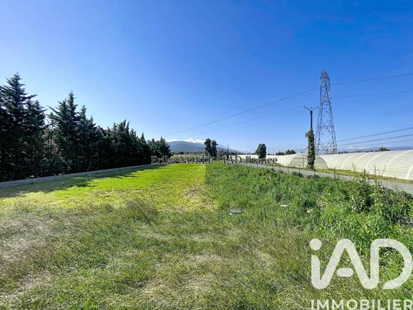 Maison à vendre 2 pièces 72 m² Ille-sur-Têt