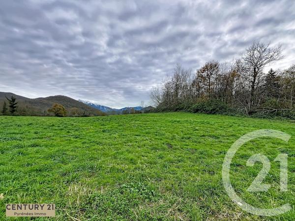 Terrain à vendre  40653 m2 ENCAUSSE LES THERMES - 31