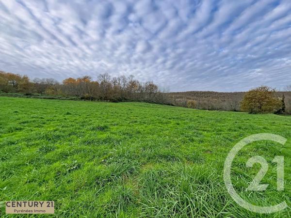 Terrain à vendre  40653 m2 ENCAUSSE LES THERMES - 31