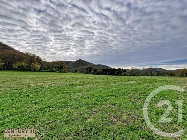 Terrain à vendre  40653 m2 ENCAUSSE LES THERMES - 31