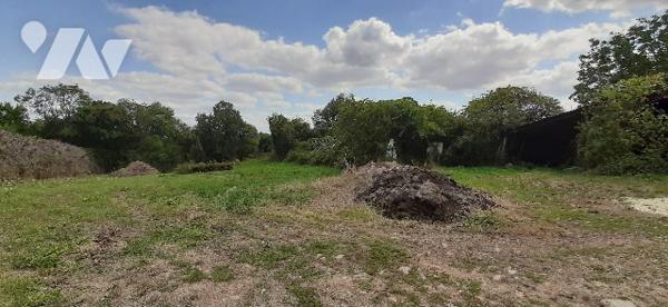 Ilots de terre agricole libre.