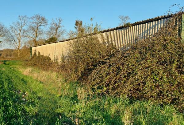 Terrain à JOSSELIN (56120)