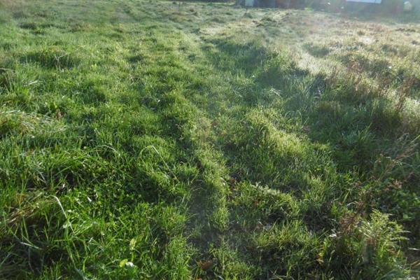 A saisir rapidement terrain constructible de 1816 m2