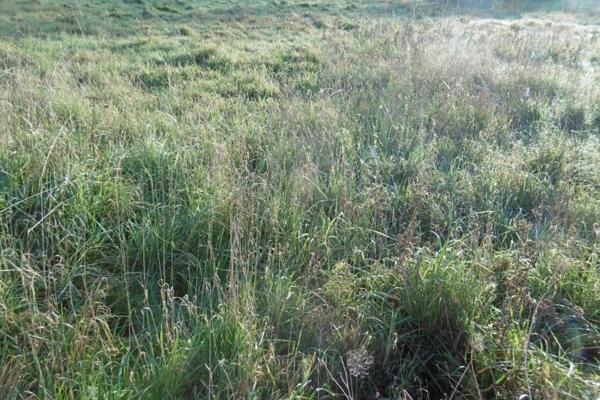 A saisir rapidement terrain constructible de 1816 m2