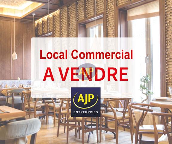 Orvault : 560 000 € - AJP Entreprises Nantes