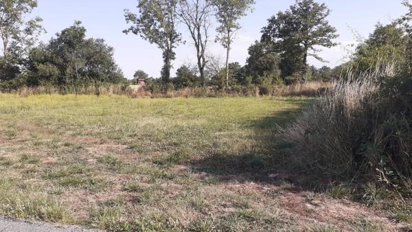 Terrain Constructible sur Beaulieu sous Bressuire