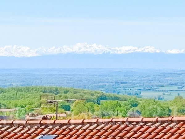 Appartement T3 complètement rénové avec balcon