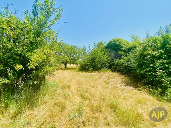 Vente maison Couqueques : 95 000 € - AJP Lesparre Immobilier