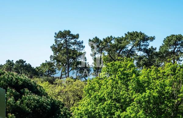 NAUZAN - Appartement 2 pièces à Vaux sur Mer