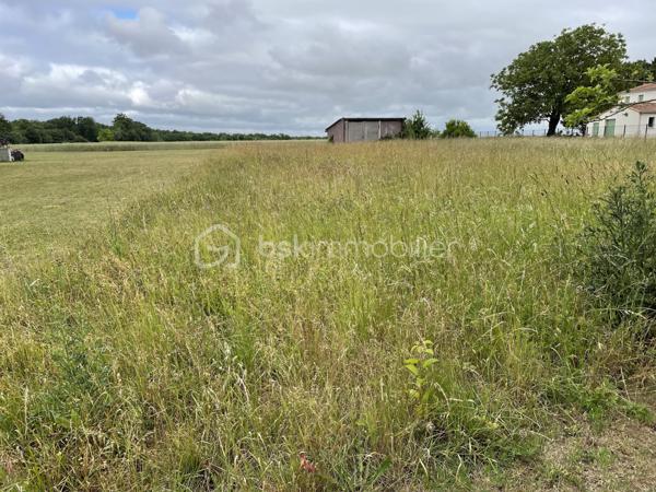 Terrain de 2 440 m²