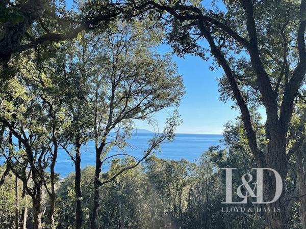 terrain constructible vue mer environnement exceptionnel