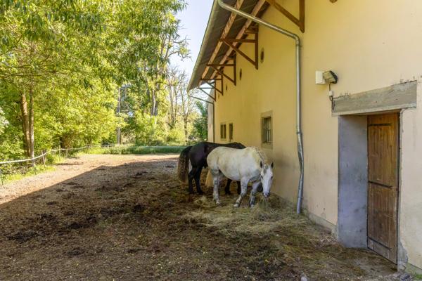 PROPRIETE EQUESTRE AVEC APPARTEMENT