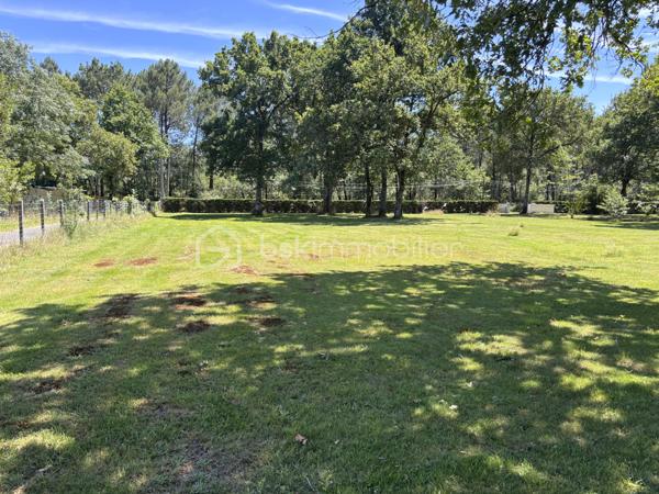 Terrain de 1 000 m²