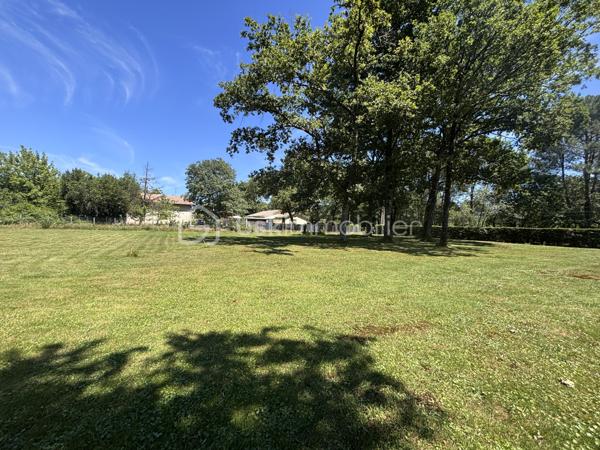 Terrain de 1 000 m²