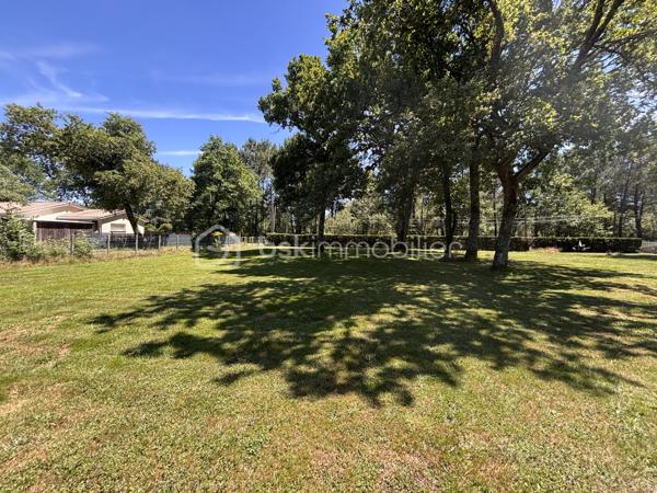 Terrain de 1 000 m²