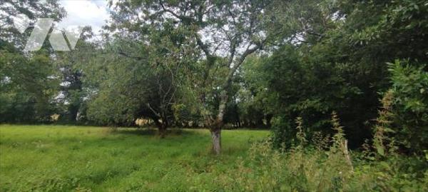 ALLAIRE - 143/322T - Proche bourg, terrain à bâtir d'environ 2322 m². A VIABILISER -  raccordab...