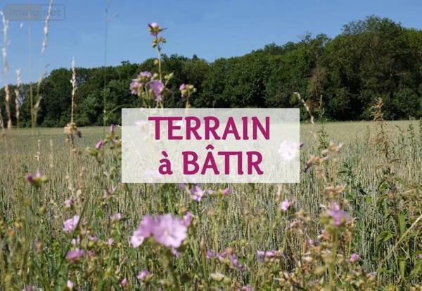 Achat - Terrain à bâtir Champagné 72470 600 m 2