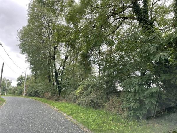 Terrain à vendre |  Bourganeuf |  5416 m²