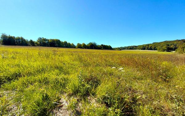 Maison à vendre    7 pièces •  Dormelles